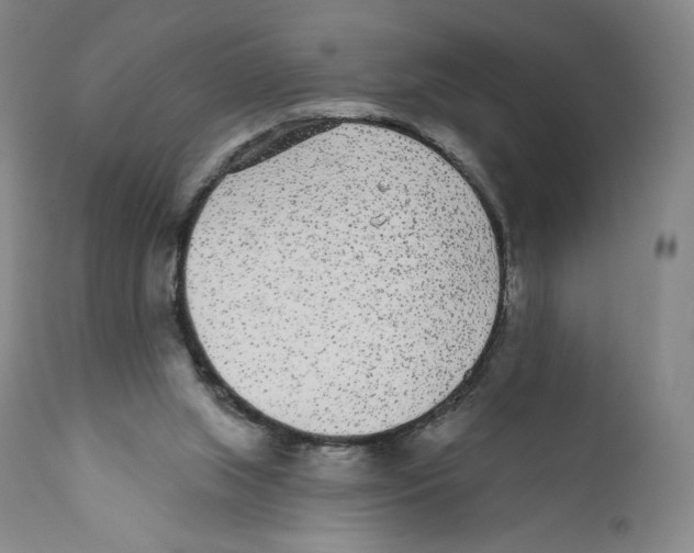 X0000110720063200907101414