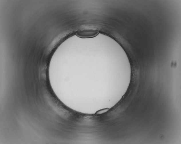 X0000110720064200907101414