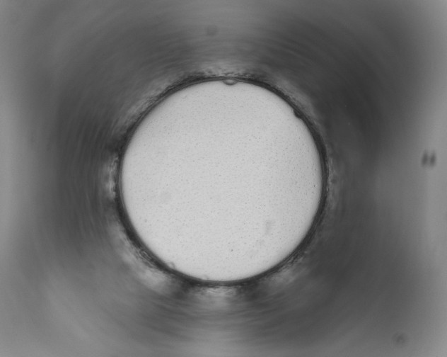 X0000110720065200907101414