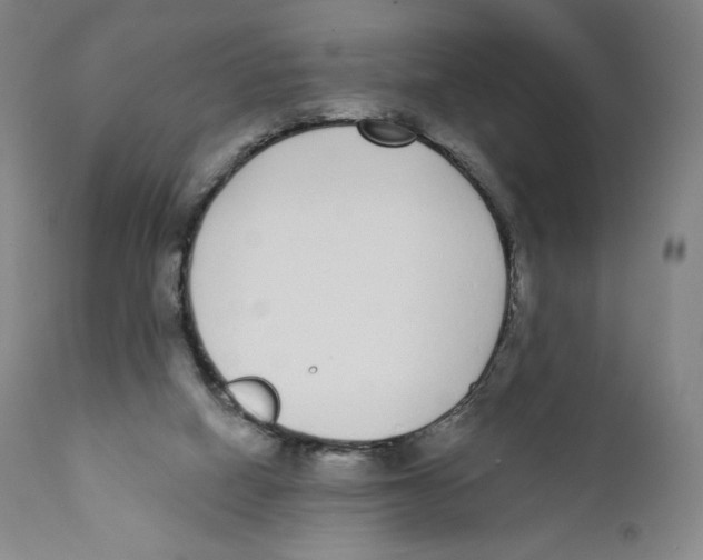 X0000110720066200907101414