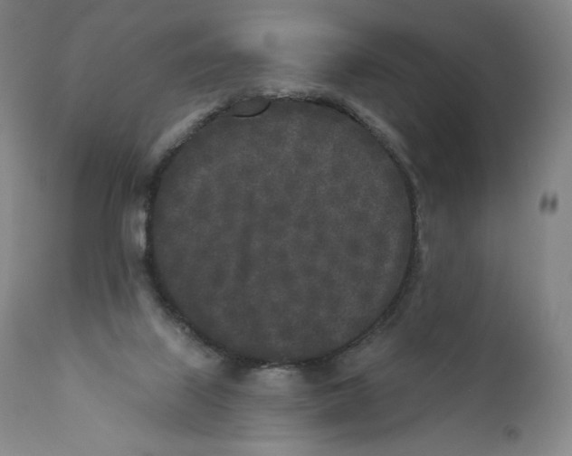 X0000110720067200907101414