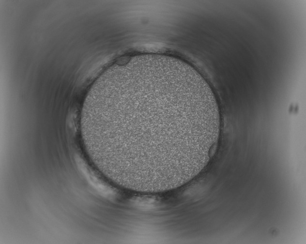 X0000110720069200907101414