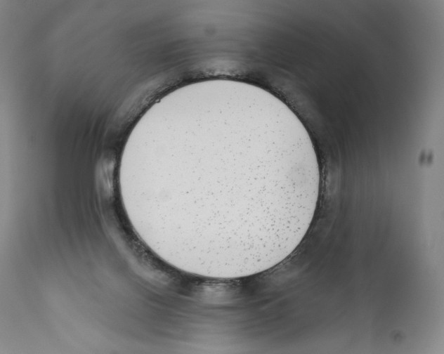 X0000110720070200907101414