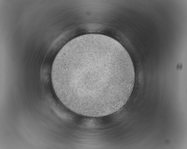 X0000110720074200907101414