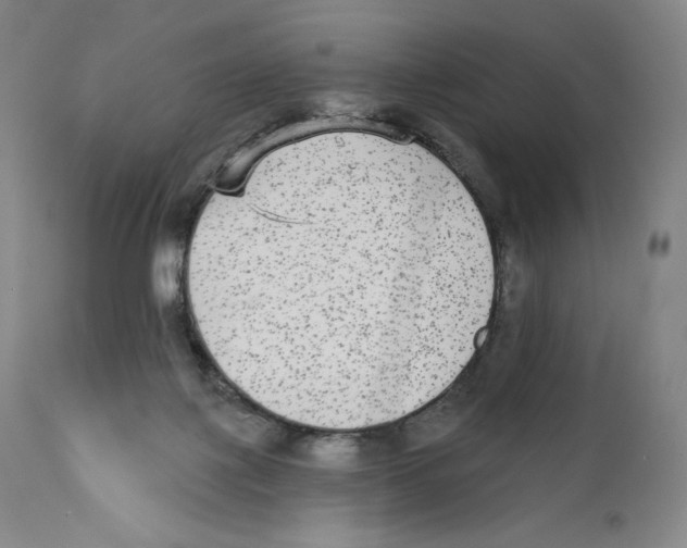 X0000110720075200907101414