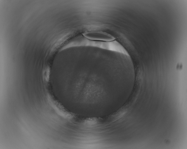 X0000110720076200907101414