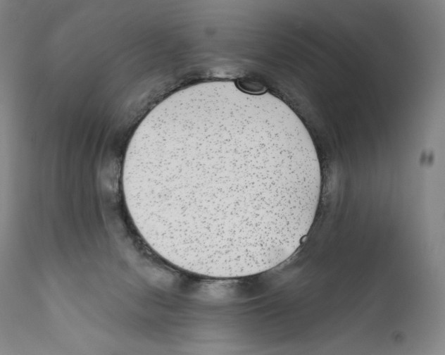 X0000110720078200907101414