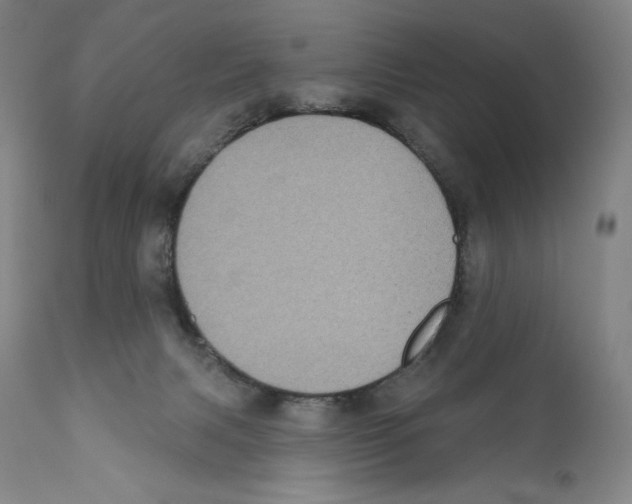 X0000110720079200907101414