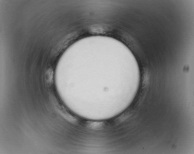 X0000110720081200907101414