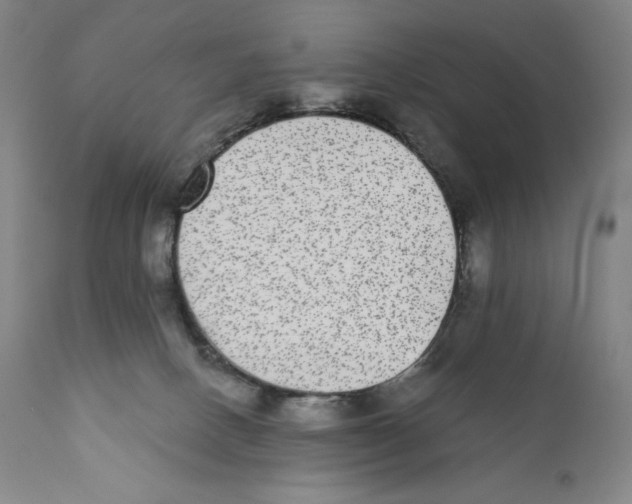 X0000110720082200907101414