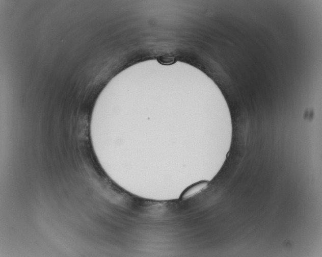 X0000110720083200907101414