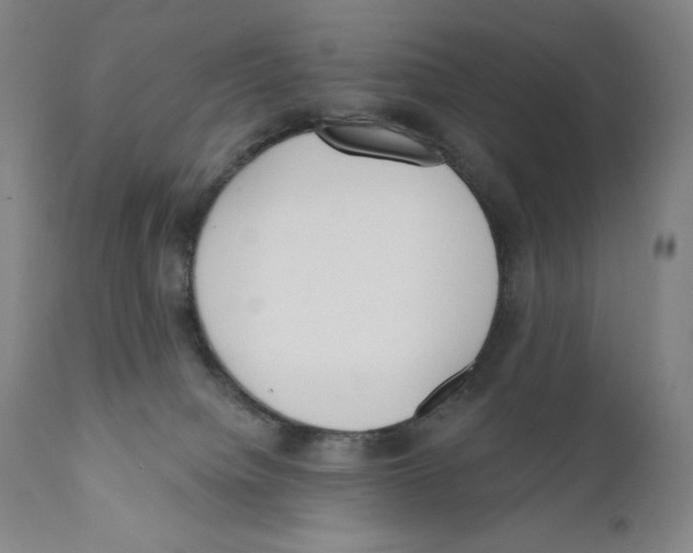 X0000110720084200907101414