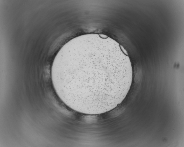 X0000110720085200907101414