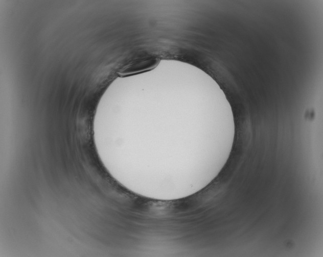 X0000110720088200907101414