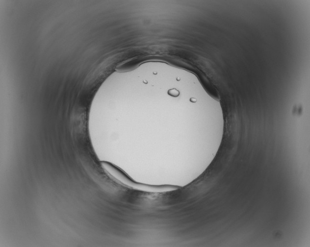 X0000110720092200907101414