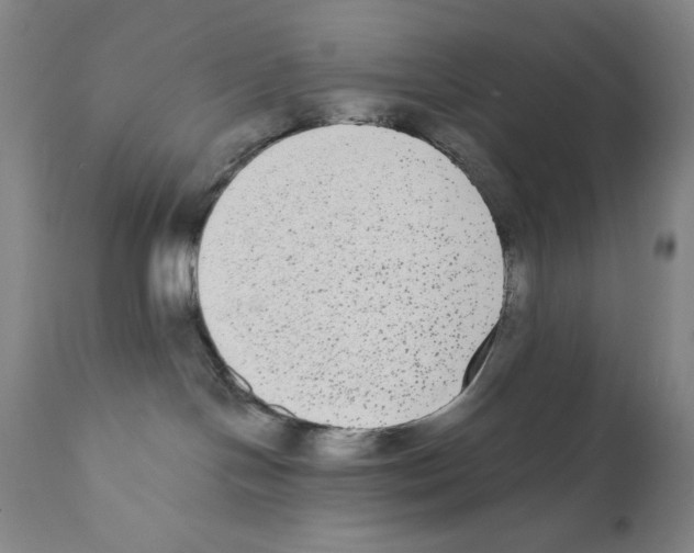 X0000110720094200907101414