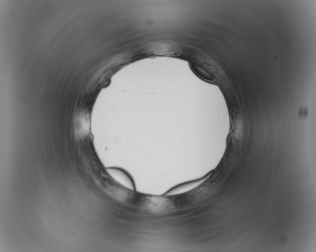 X0000110720095200907101414