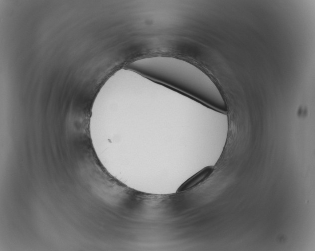 X0000110720096200907101414