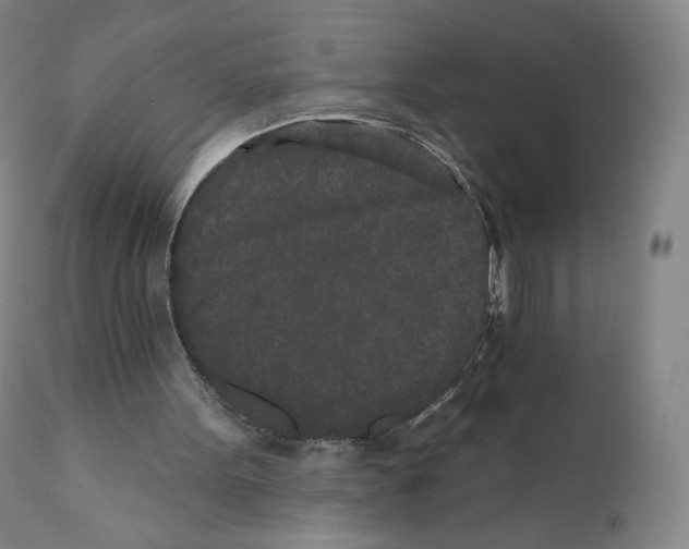 X0000110720099200907101414