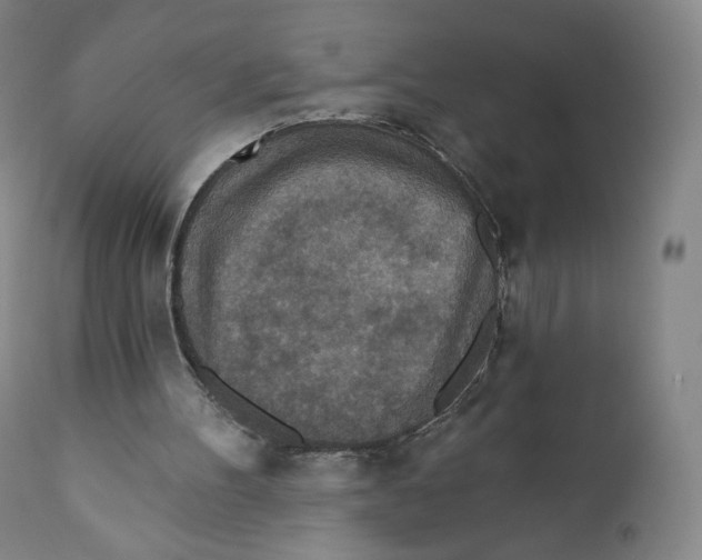 X0000110720100200907101414