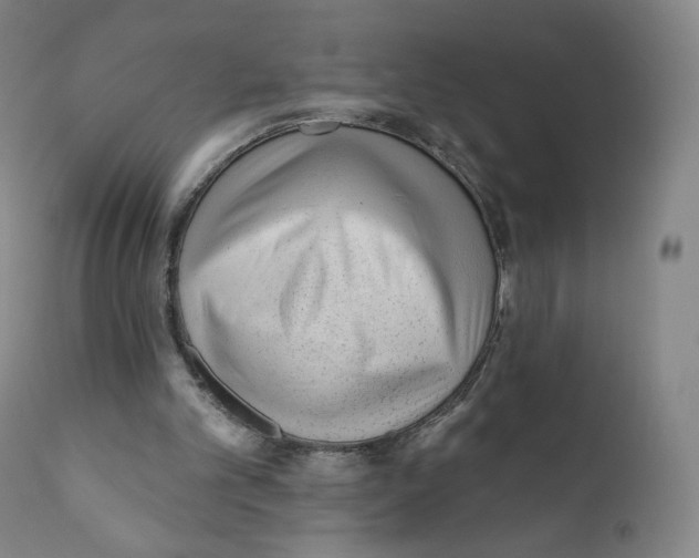 X0000110720101200907101414