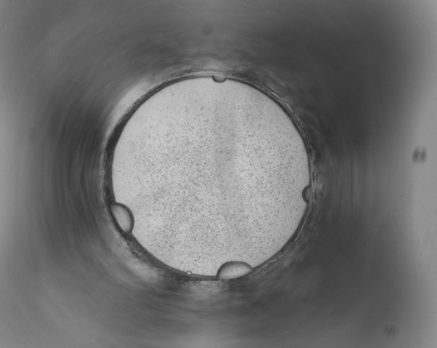 X0000110720102200907101414