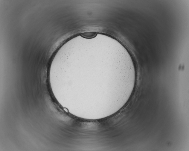 X0000110720107200907101413