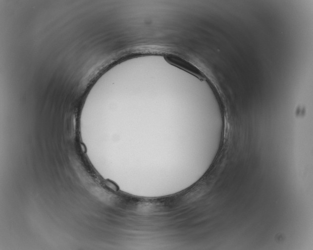 X0000110720109200907101413