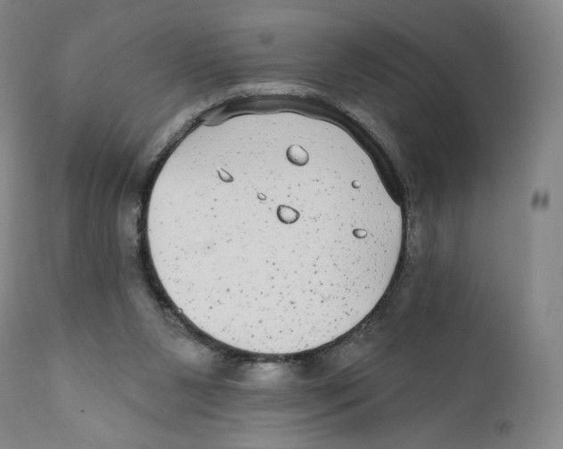 X0000110720111200907101413