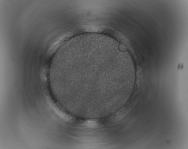 X0000110720114200907101413