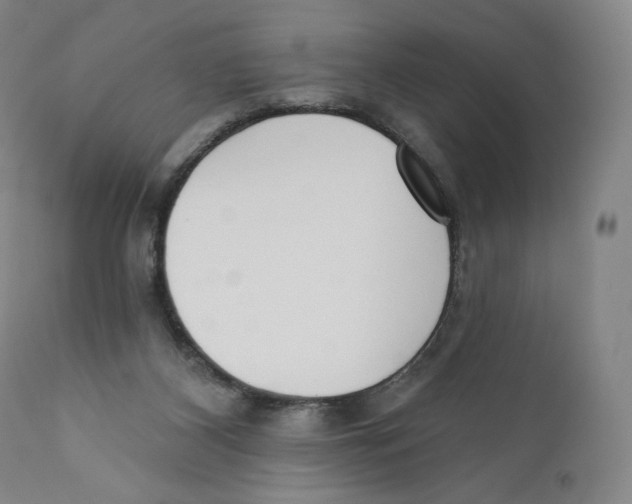 X0000110720116200907101413