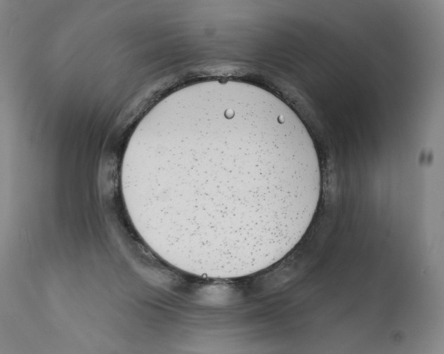 X0000110720119200907101413