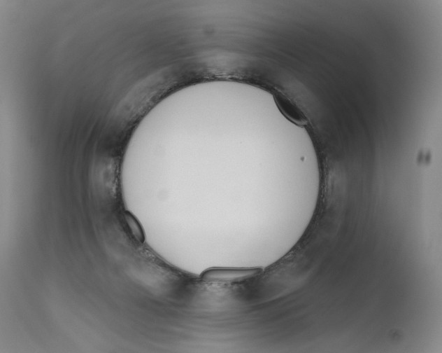 X0000110720121200907101413