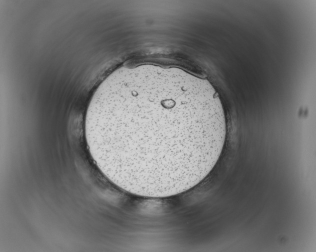 X0000110720123200907101413