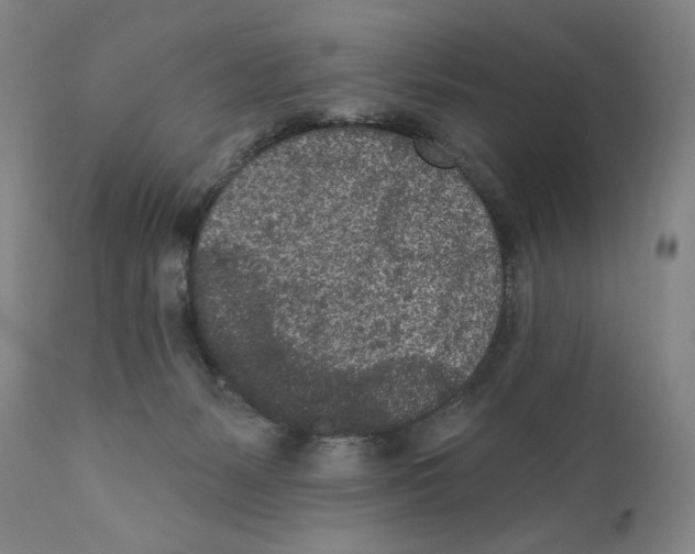 X0000110720127200907101413