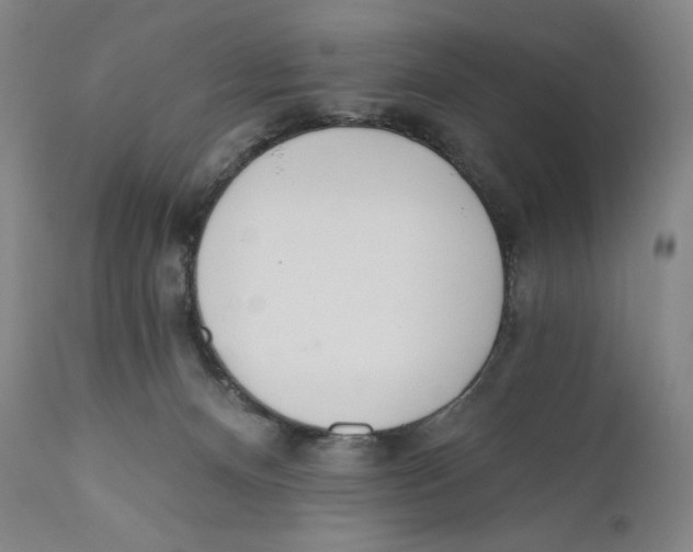 X0000110720128200907101413