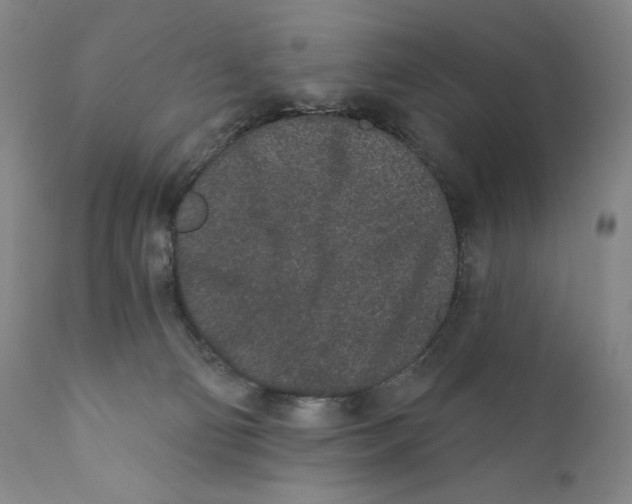 X0000110720130200907101413