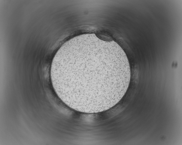 X0000110720131200907101413