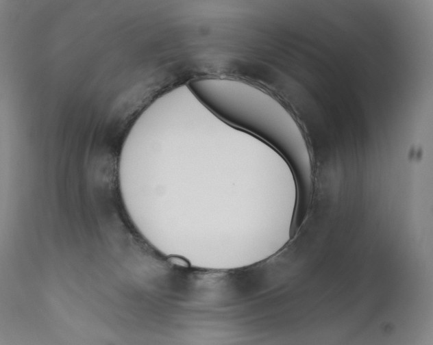 X0000110720132200907101413