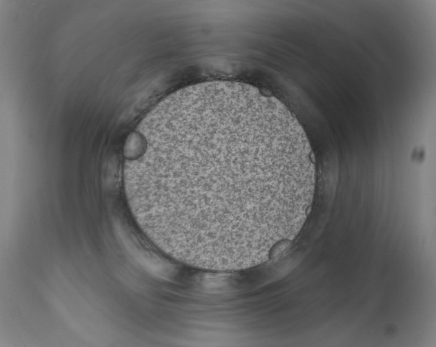 X0000110720134200907101413