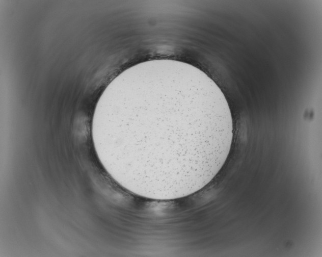 X0000110720135200907101413