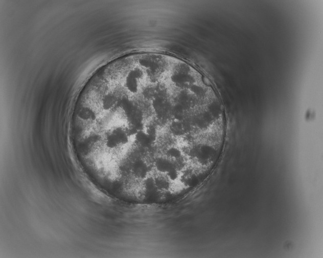 X0000110720145200907101412