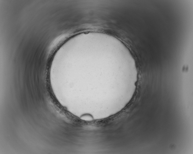 X0000110720149200907101412