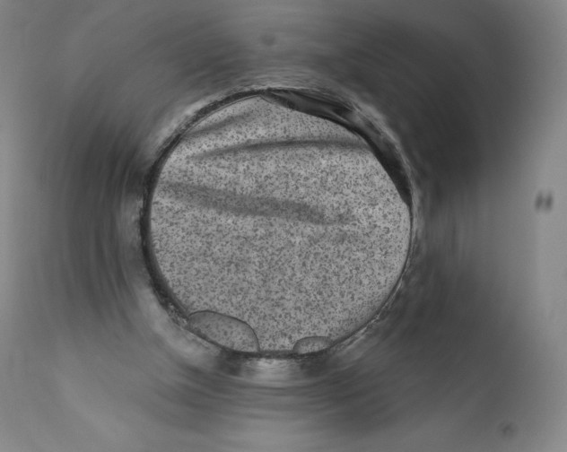 X0000110720154200907101412