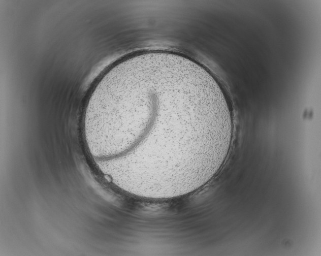 X0000110720155200907101412