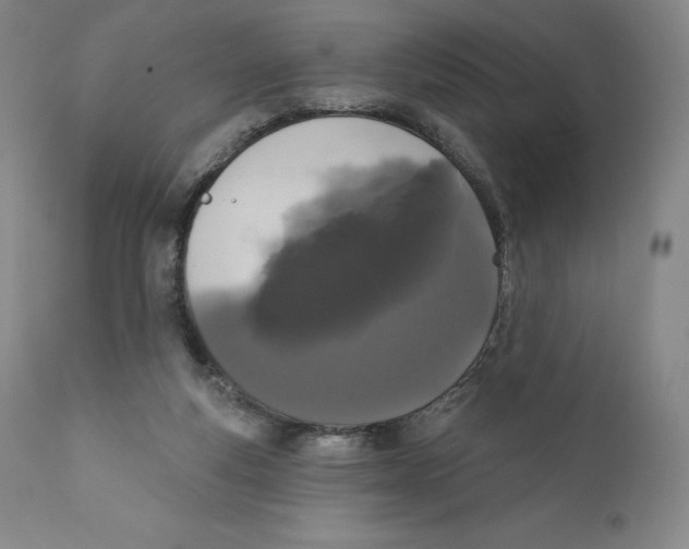 X0000110720163200907101412