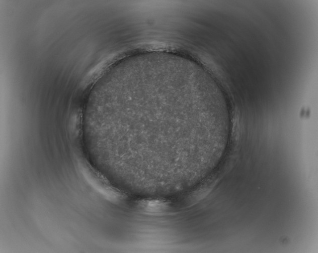 X0000110720165200907101412