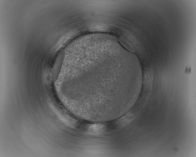 X0000110720168200907101412