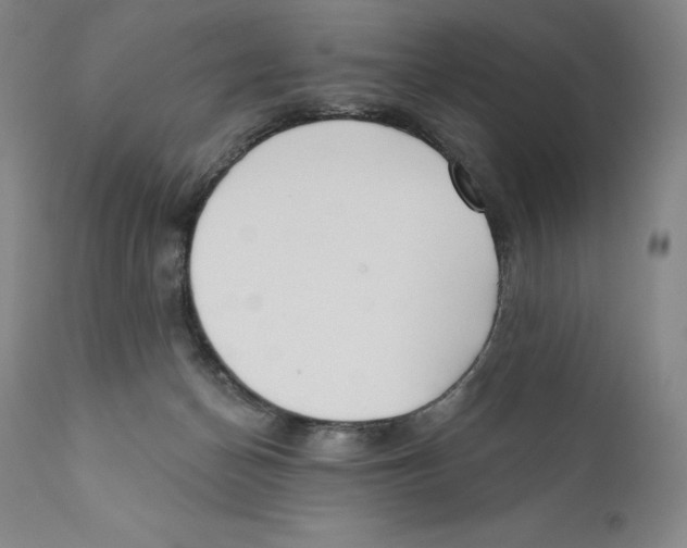 X0000110720174200907101413