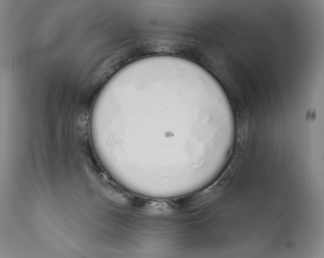 X0000110720175200907101413